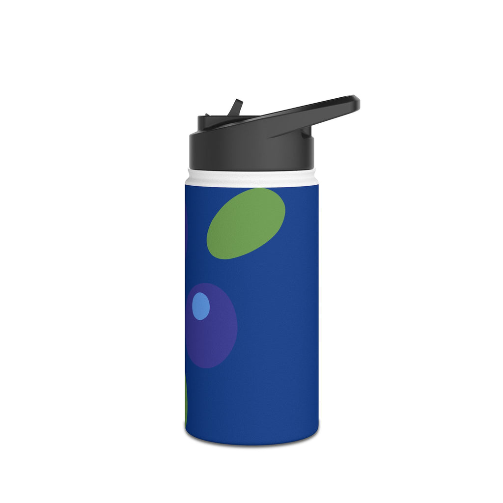 Vibrant Stainless Steel Water Bottle - Eco-Friendly Travel Mug, Summer Hydration, Sports Water Flask, Gift for Outdoor Enthusiasts