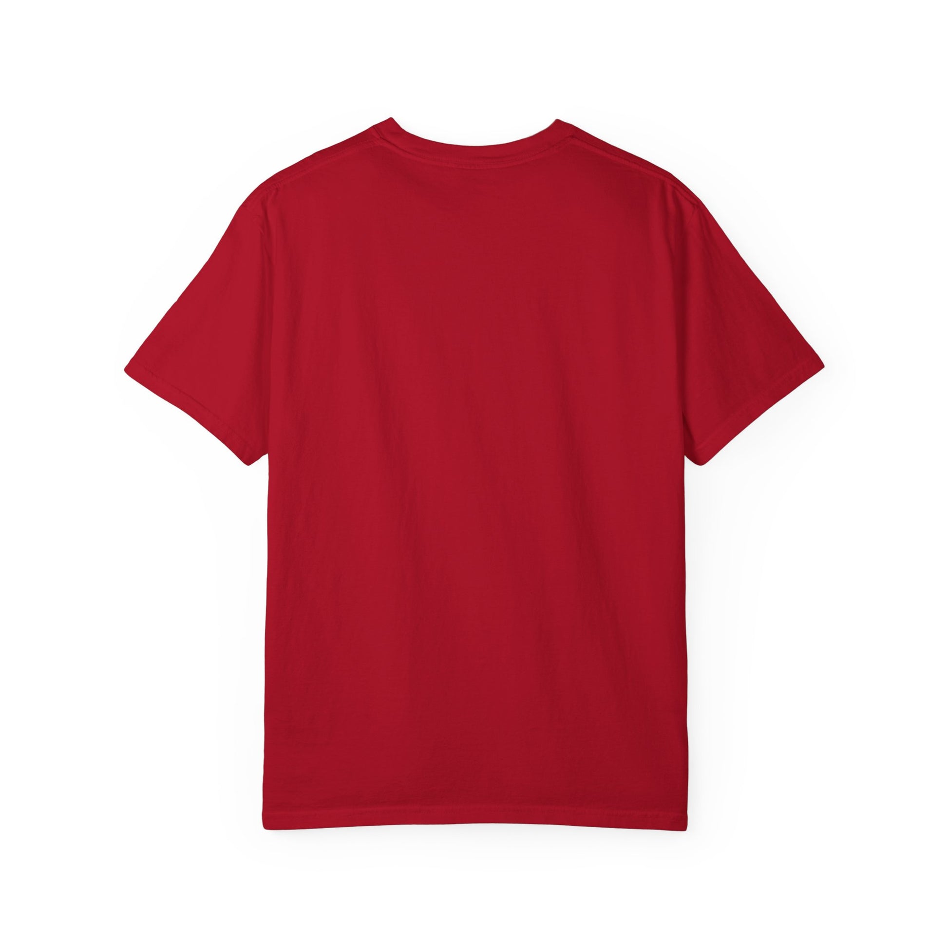 Celebration Vibes Unisex Garment-Dyed T-shirt, Festival Wear, Summer Outing, Street Fair Apparel, Event Souvenir